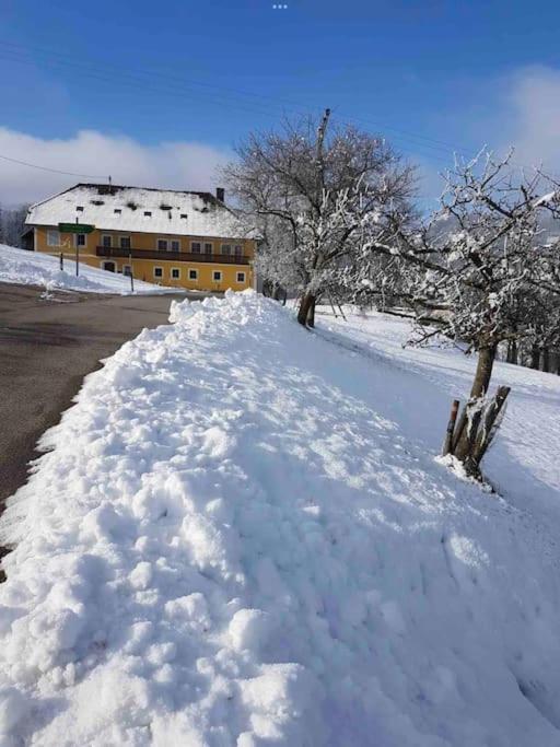 Ferienhof Am Landsberg Obergrunburg ภายนอก รูปภาพ